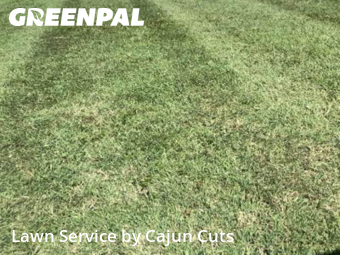 Grass Cutting nearby Murfreesboro, TN, 