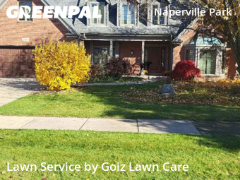Lawn Cut nearby Naperville, IL, 