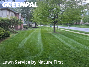 Lawn Mow nearby Carmel, IN, 