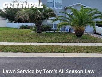 Lawn Care nearby Spring Hill, FL, 