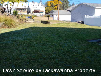 Lawn Maintenance nearby Scranton, PA, 