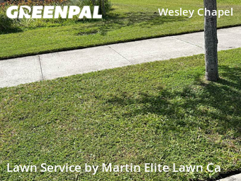 Lawn Cutting nearby Wesley Chapel, FL, 
