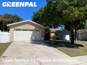 Grass Cut nearby Saint Petersburg, FL, 