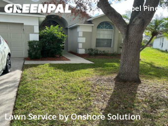 Lawn Maintenance nearby Wesley Chapel, FL, 