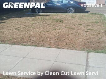 Work completed by yard-maintenance-professionals-in in Fresno, CA