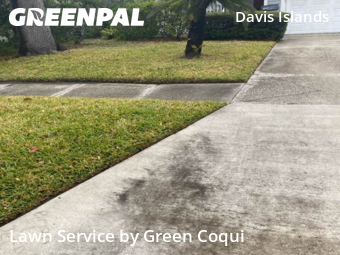 Yard Cutting nearby Tampa, FL, 