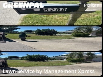 Yard Mowing nearby Cape Coral, FL, 