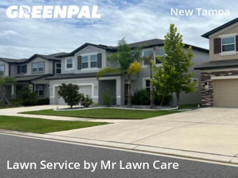 Lawn Cut nearby Tampa, FL, 