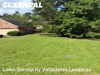 Yard Cutting nearby Willis, TX, 
