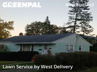 Grass Cutting in Albany, 12208, Mowing Services by West Delivery, work completed in Nov , 2025