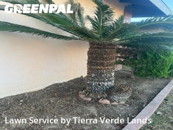 Lawn Maintenance nearby Gardena, CA, 
