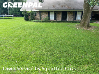 Yard Mowing nearby Lafayette, LA, 