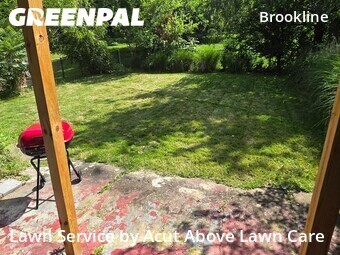 Lawn mowed in Pittsburgh, 15216