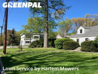 Lawn Cut nearby Tenafly, NY, 