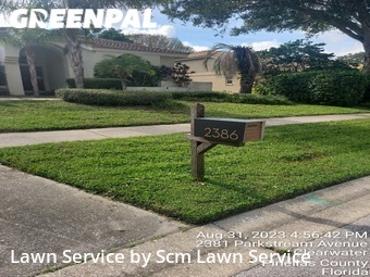 Grass Cut nearby Clearwater, FL, 