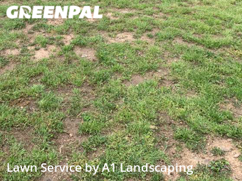 Yard Mowing nearby Fayetteville, AR, 
