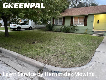 Grass Cut nearby Fort Worth, TX, 