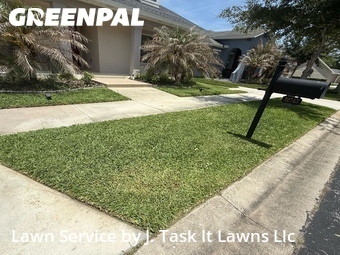 Lawn Cut nearby Wesley Chapel, FL, 