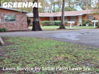 Lawn mowed in Oakland Park, 33309