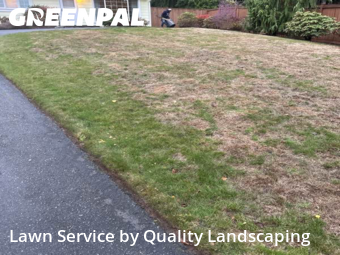 Yard Upkeep in Edmonds, 98026, Backyard Mowing by Quality Landscaping, work completed in Dec , 2025