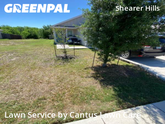 Yard Cutting nearby San Antonio, TX, 