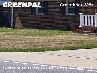 Grass Cut nearby Chesapeake, VA, 