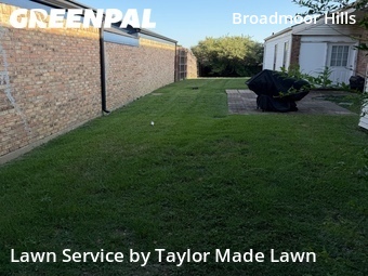 Lawn Carein Irving,75038,Lawn Care Service by Taylor Made Lawn , work completed in Jun , 2026