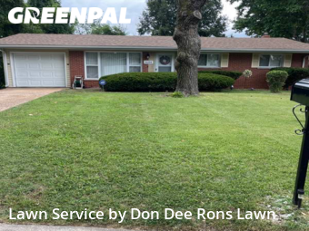 Yard Cutting nearby St. Louis, MO, 