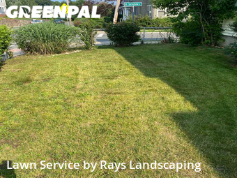 Grass Cut nearby Watertown, MA, 