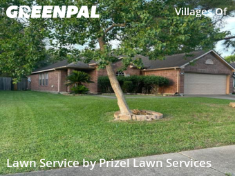 Lawn Maintenancein Rosenberg,77471,Yard Cutting by Prizel Lawn Services, work completed in Nov , 2025