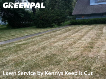 Lawn Care nearby Homewood, IL, 