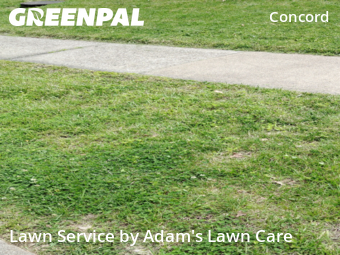 Yard Mowing nearby St. Louis, MO, 