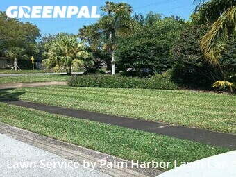 Lawn Maintenance nearby Palm Harbor, FL, 