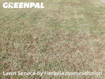 Yard Mowing nearby Imperial Beach, CA, 