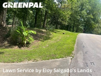 Grass Cut nearby Oakwood, GA, 