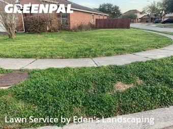 Grass Cutting nearby Humble, TX, 