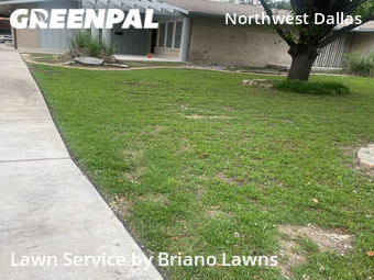 Lawn Care Service nearby Dallas, TX, 
