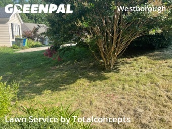 Yard Cutting nearby Raleigh, NC, 