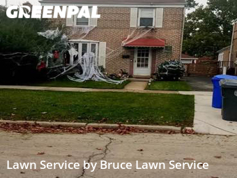 Lawn Care nearby Lyons, IL, 