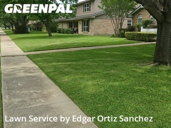 Lawn Servicein Richardson,75080,Grass Cut by Edgar Ortiz Sanchez, work completed in Jun , 2026
