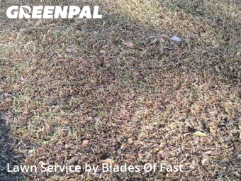 Lawn Cutting nearby Atlanta, GA, 