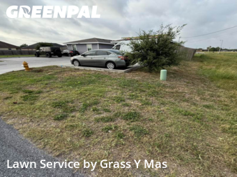 Lawn Service nearby Harlingen, TX, 