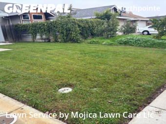 Landscapers In Sacramento,95838,Landscape Design by Mojica Lawn Care Llc, work completed in Dec , 2025