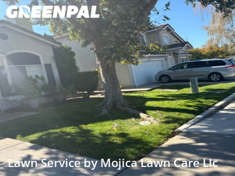 Work completed by yard-maintenance-professionals-in-Elk Grove-CA