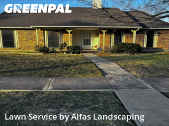 Yard Cuttingin The Colony,75056,Yard Cutting by Alfas Landscaping, work completed in Jan , 2026