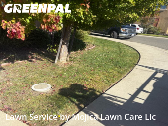 Work completed by yard-maintenance-professionals-in-Folsom-CA