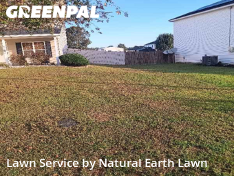 Yard Mowing nearby Hopkins, SC, 