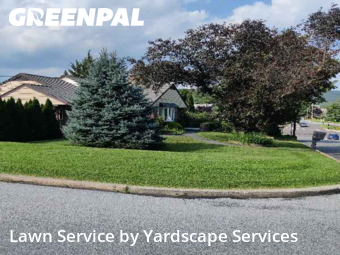 Backyard Mowing in Reading, 19606, Landscaping Maintenance by Yardscape Services, work completed in Nov , 2025