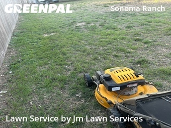 Grass Cut nearby Helotes, TX, 
