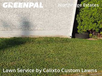 Grass Cut nearby Mesquite, TX, 